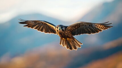 Obraz premium Majestic Falcon Soaring Over Mountainous Landscape