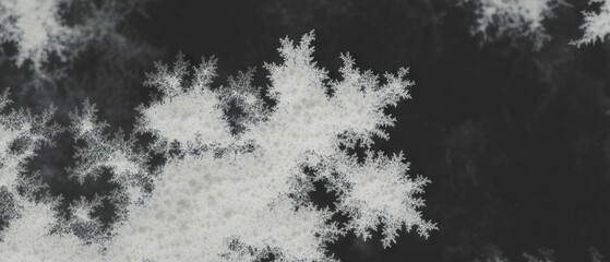 Obraz premium Monochrome fractal overlay texture on a black background enhances classic design aesthetics