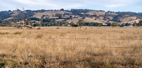 Panoramic view of an Australian rural landscape featuring golden grasslands, vast farmland, rolling...