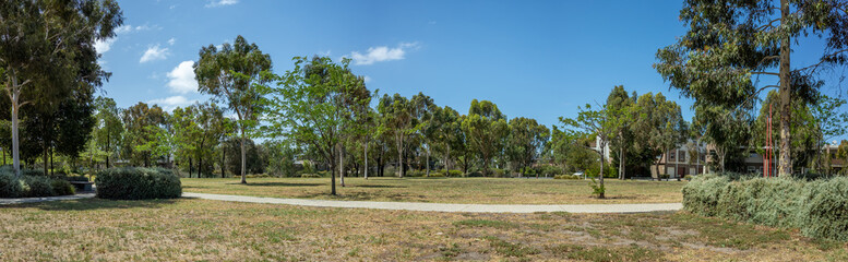 Obraz premium Panoramic view of a suburban park with a mix of eucalyptus, open grassy areas, and a winding pedestrian pathway. Background texture of a spacious green outdoor space within an Australian neighborhood.
