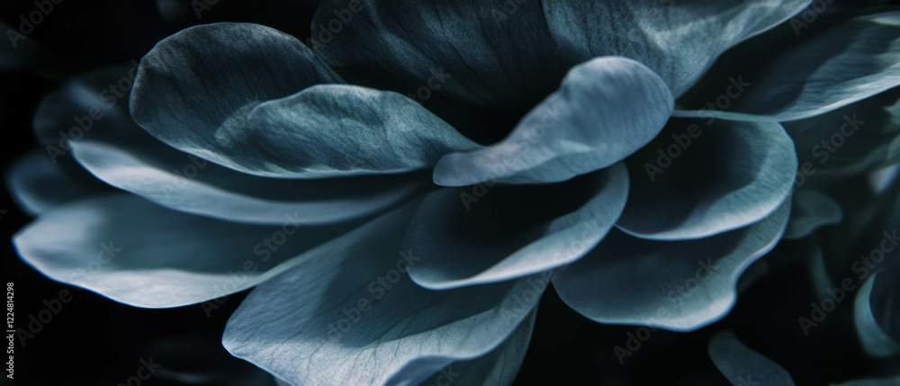 Poster layered petals showcase subtle depth of field against a black background