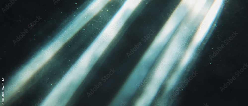 Poster Dynamic interplay of light and texture against a dark background reveals gentle patterns