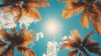 Bright sun shines through palm fronds against a vibrant blue sky. Perfect for travel, vacation, or summer themed designs.