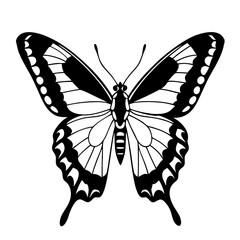 Giant Swallowtail butterfly silhouette vector isolated on White background