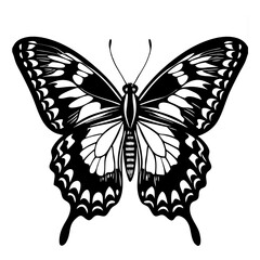 Giant Swallowtail butterfly silhouette vector isolated on White background