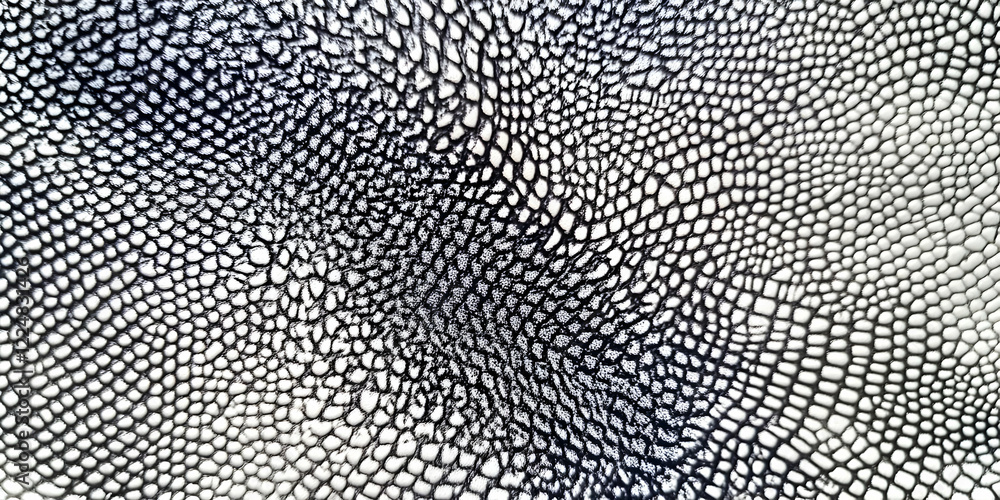 Poster close-up of a textured material shows a repeating pattern of bumps and depressions, creating a disti