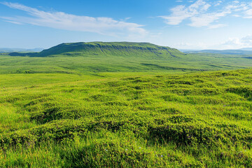 Obraz premium Vast green highland landscape under a bright blue sky.
