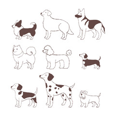 Dogs of different breeds. Set of hand-drawn puppies