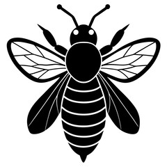 Bee Silhouette Vector, Bee Vector