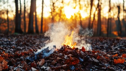 small flame and rising smoke on a pile of dry autumn leaves in a forest clearing at sunset with a golden glow and tree backdrop
