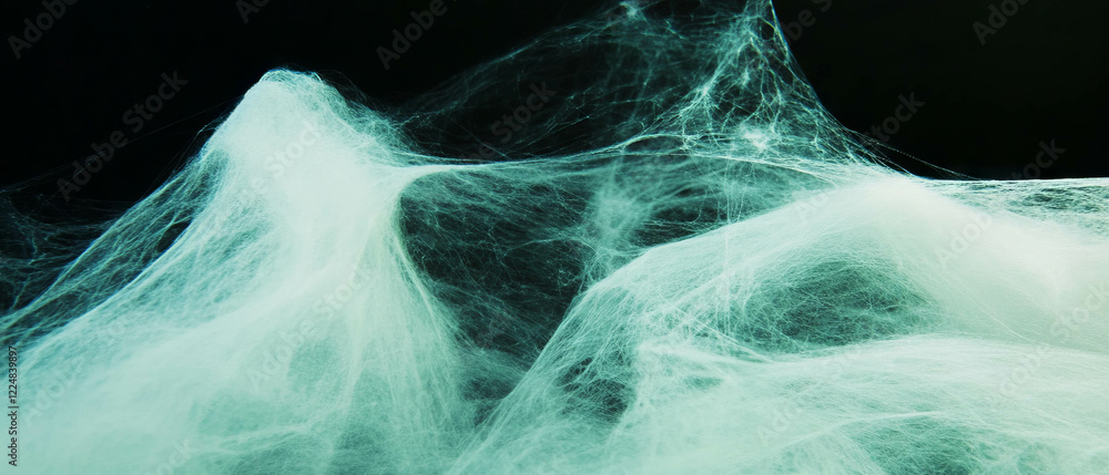 Poster beautiful spider web texture overlay on a natural background highlighting intricate details