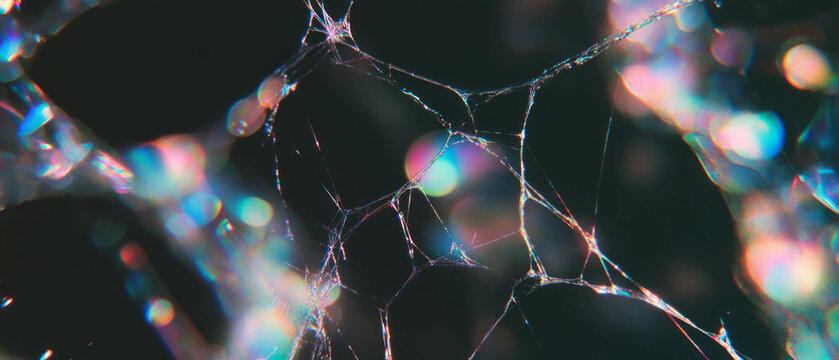 Colorful spider web texture with iridescent effects on a black background