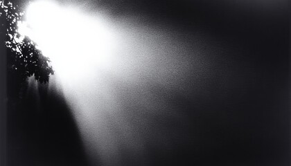 Blended effects of scanned grain for a unique visual appeal.