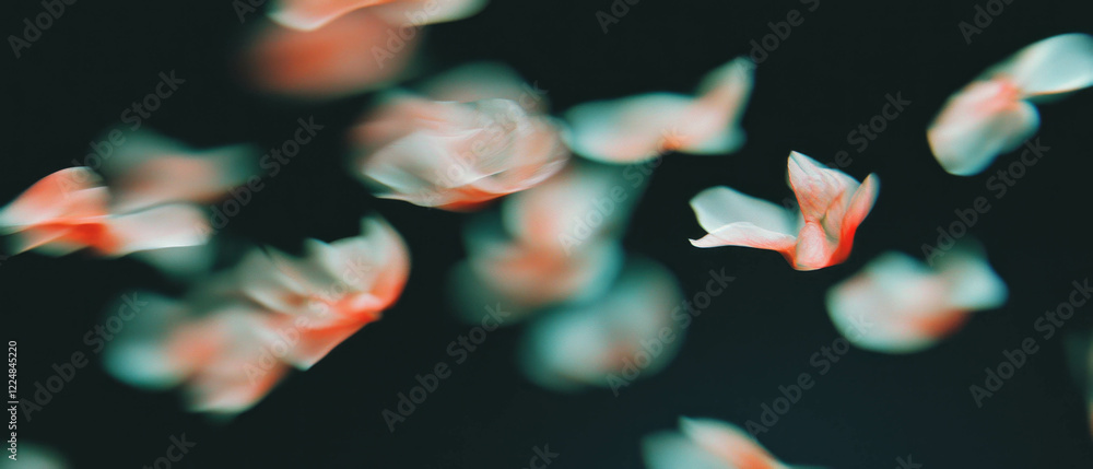 Poster whirling petals create a mesmerizing motion effect against a dark backdrop