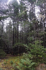 Deer Isle, Maine, Usa