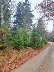 Obraz premium Deer Isle, Maine, Usa