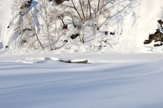 A tree on the bank of the frozen Malaya Ulba mountain river in Eastern Kazakhstan in winter