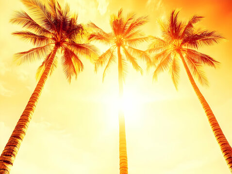 Three Palm Trees Reach for the Golden Sun in a Tropical Paradise at Sunset