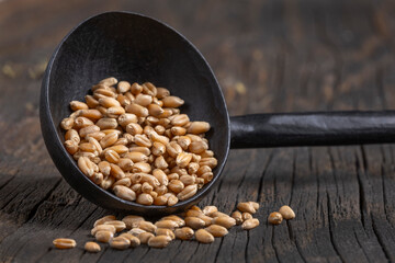 Wheat grains scattered from a wooden spoon on rustic wooden surface in a cozy kitchen setting