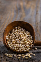 Organic grains displayed in a rustic wooden scoop on a textured background showcasing natural farming produce