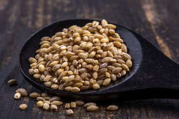 Brown seeds piled on wooden spoon ready for culinary use and nutritional enhancement in cooking