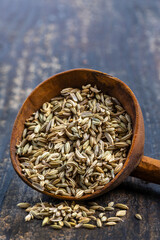 Cumin seeds arranged in a wooden scoop on a rustic table under soft lighting