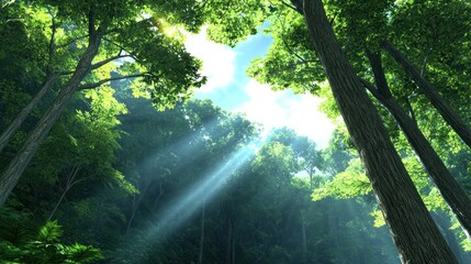 Obraz premium Sunbeams through Forest Canopy