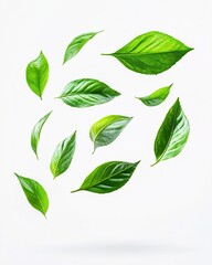 Fresh green leaves floating on a white background creating a natural and vibrant composition