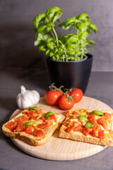 Tomato and Cheese Toast with Fresh Basil on Wooden Board