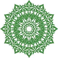 Beautiful flower art and mandala vector design
