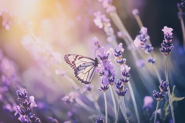 Butterfly on a Flower A monarch butterfly perched on a purple lavender flower under soft sunlight. 