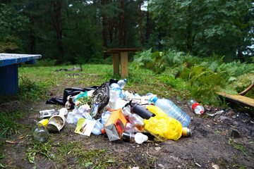 Garbage dump on beach at lake. People throw garbage near lake in nature. Trash at camping resort. Pile of rubbish in nature. Environmental pollution and ecology. Illegal dumping of Garbage near river