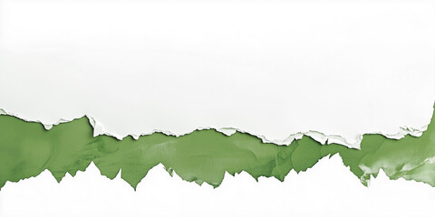 green paper edge ripped torn white flat background isolated