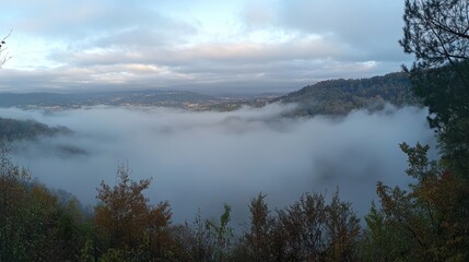 Obraz premium Misty valley landscape at dawn.