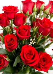 Beautiful Red Rose Bouquet for Valentine's.