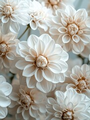 Delicate white flowers botanical garden nature photography soft lighting close-up serenity and beauty