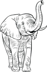Create a Elephant vector art silhouette with white background.