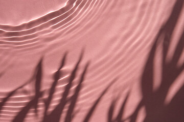 Pink water texture background on the noon sunlight with tropical leaves shadow.