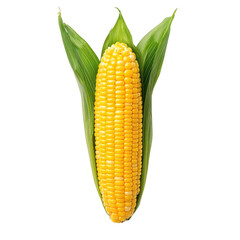 Fresh and vibrant yellow corn on the cob with green husks, perfect for summer meals.