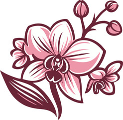Pink and white orchid flower illustration with floral design