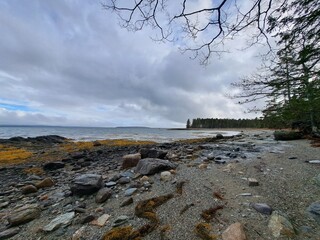 Brooklin, Maine, Usa