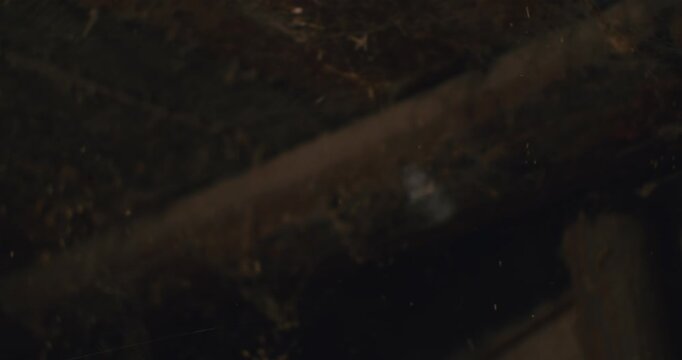 Time-worn wooden beams covered in cobwebs inside an abandoned barn reveal layers of dust, rot and the unsettling silence of forgotten rural places. A large web covers the inside of an abandoned barn.