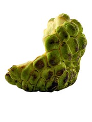 Fototapeta premium A partially opened sugar apple (Annona squamosa) fruit is depicted, showcasing its textured green skin and revealing the creamy white flesh inside. The unique shape and pattern are clearly visible.