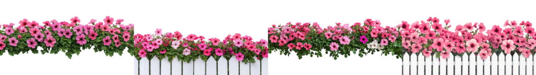 Fototapeta premium Vibrant Floral Blooms Adorning Natural Landscape with Lush Foliage