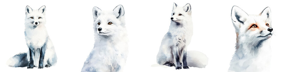 Fototapeta premium Captivating White Arctic Fox Sitting in Snow Covered Winter Environment