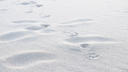 Dunes on the Mediterranean coast, sunrise, sand texture