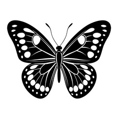 Common blue butterfly silhouette vector isolated on White background