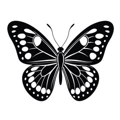 Common blue butterfly silhouette vector isolated on White background