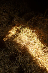 Hayloft. A sunbeam falls through an open window onto a large pile of hay in a barn. Country life and romance.