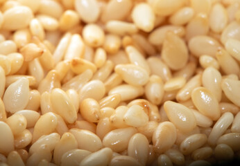 Macro Closeup of sesame seeds pile background